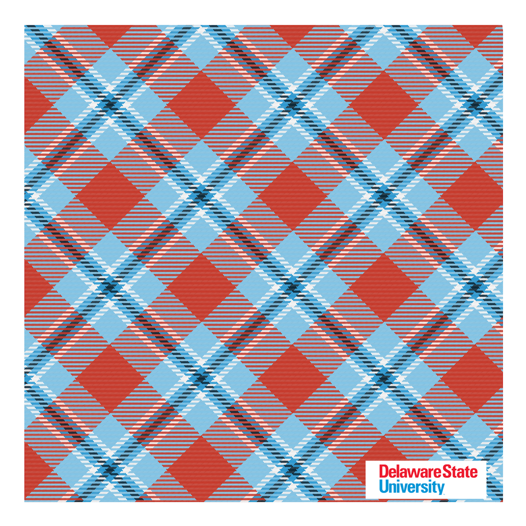 Delaware State Pocket Square