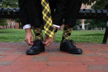 Load image into Gallery viewer, Central Florida Socks