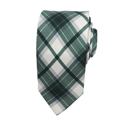 Michigan State Union Tie