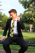 Load image into Gallery viewer, Central Florida Tie