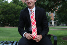 Load image into Gallery viewer, Houston Tie