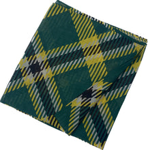 Load image into Gallery viewer, Wayne State Fashion Scarf
